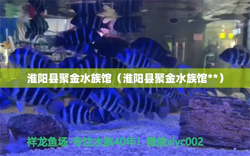 淮阳县聚金水族馆（淮阳县聚金水族馆**）