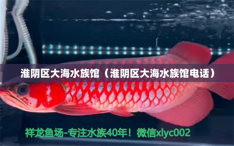 淮阴区大海水族馆（淮阴区大海水族馆电话）