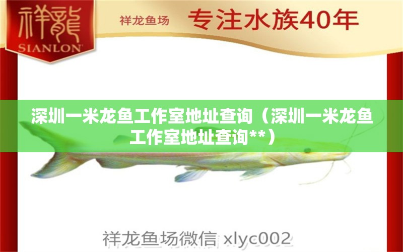 深圳一米龙鱼工作室地址查询（深圳一米龙鱼工作室地址查询**） 祥龙水族医院