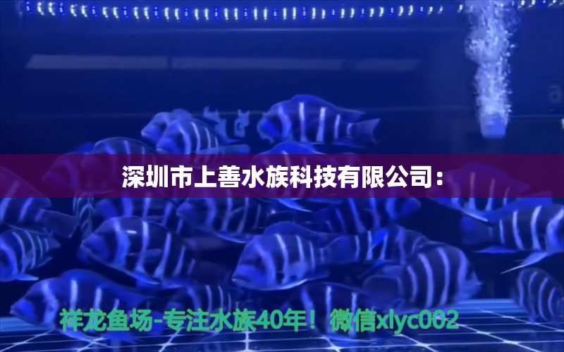 深圳市上善水族科技有限公司：