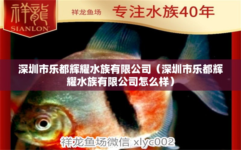 深圳市乐都辉耀水族有限公司（深圳市乐都辉耀水族有限公司怎么样） 全国水族馆企业名录