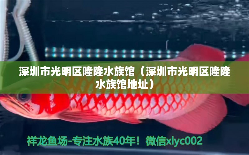 深圳市光明区隆隆水族馆（深圳市光明区隆隆水族馆地址）