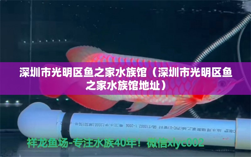 深圳市光明区鱼之家水族馆（深圳市光明区鱼之家水族馆地址） 全国水族馆企业名录