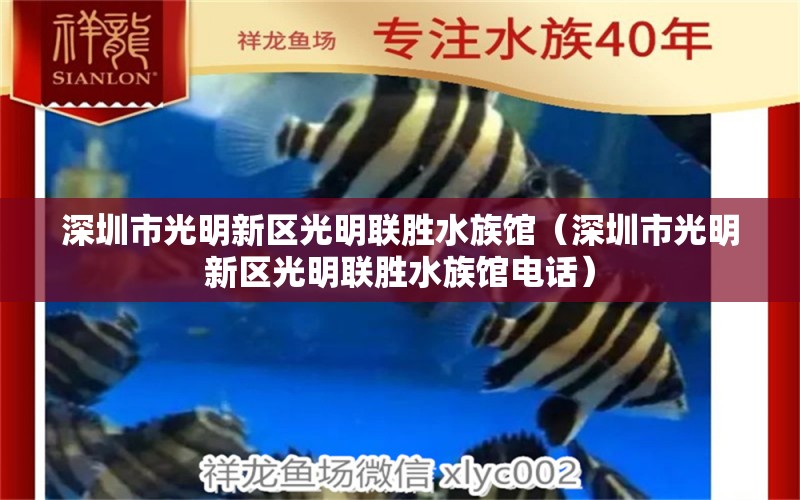 深圳市光明新区光明联胜水族馆（深圳市光明新区光明联胜水族馆电话）