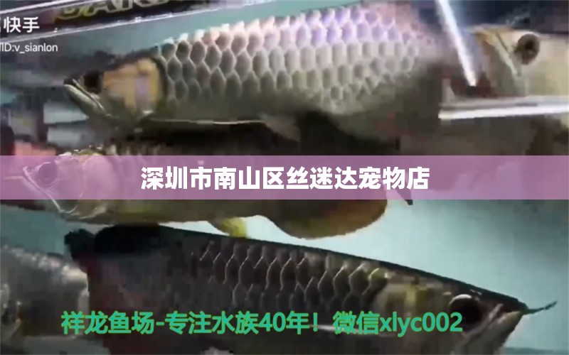 深圳市南山区丝迷达宠物店 全国水族馆企业名录