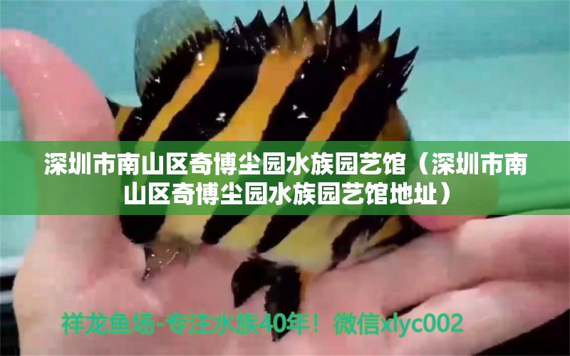 深圳市南山区奇博尘园水族园艺馆（深圳市南山区奇博尘园水族园艺馆地址）