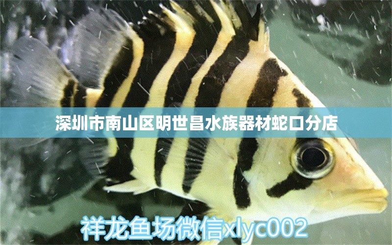 深圳市南山区明世昌水族器材蛇口分店