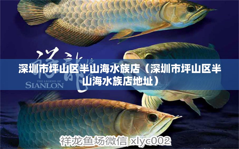 深圳市坪山区半山海水族店（深圳市坪山区半山海水族店地址）