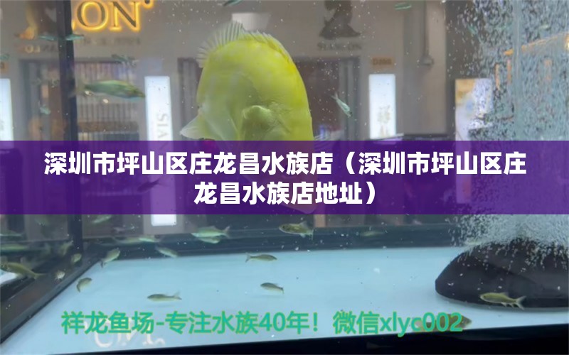 深圳市坪山区庄龙昌水族店（深圳市坪山区庄龙昌水族店地址）