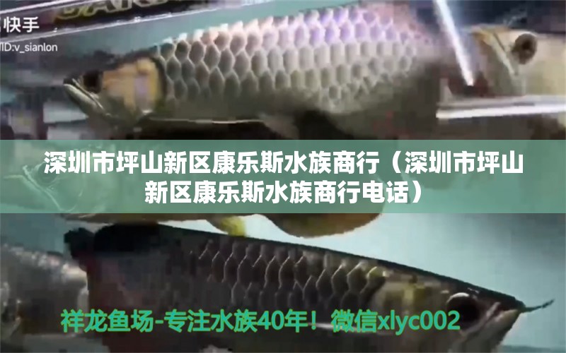 深圳市坪山新区康乐斯水族商行（深圳市坪山新区康乐斯水族商行电话）