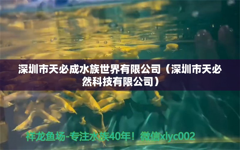 深圳市天必成水族世界有限公司（深圳市天必然科技有限公司）