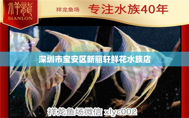 深圳市宝安区新丽轩鲜花水族店 全国水族馆企业名录