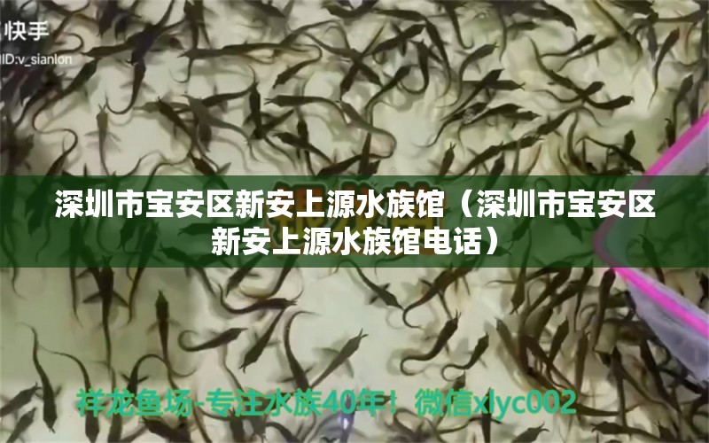 深圳市宝安区新安上源水族馆（深圳市宝安区新安上源水族馆电话）