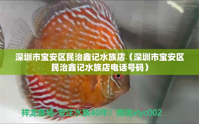 深圳市宝安区民治鑫记水族店（深圳市宝安区民治鑫记水族店电话号码）