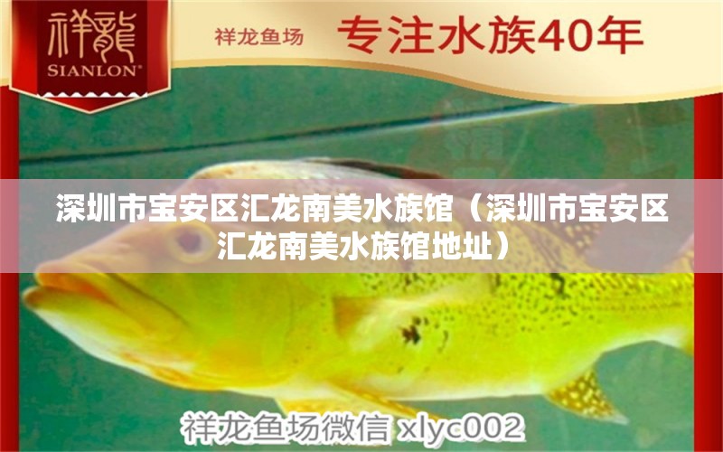 深圳市宝安区汇龙南美水族馆（深圳市宝安区汇龙南美水族馆地址） 全国水族馆企业名录