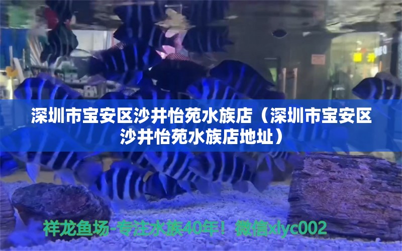 深圳市宝安区沙井怡苑水族店（深圳市宝安区沙井怡苑水族店地址） 全国水族馆企业名录