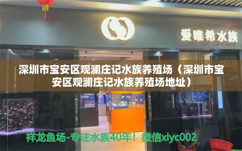 深圳市宝安区观澜庄记水族养殖场（深圳市宝安区观澜庄记水族养殖场地址） 全国水族馆企业名录