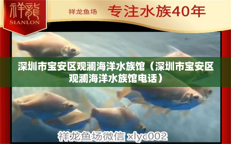 深圳市宝安区观澜海洋水族馆（深圳市宝安区观澜海洋水族馆电话）