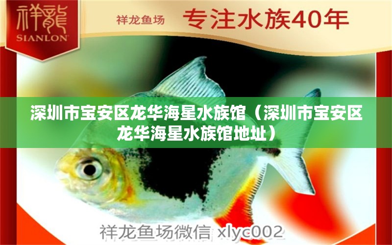 深圳市宝安区龙华海星水族馆（深圳市宝安区龙华海星水族馆地址） 全国水族馆企业名录