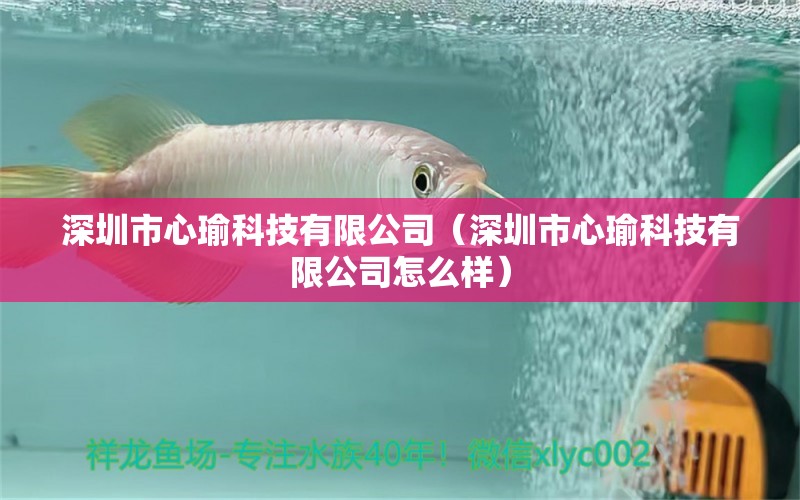 深圳市心瑜科技有限公司（深圳市心瑜科技有限公司怎么样） 全国水族馆企业名录