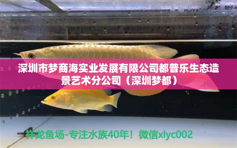 深圳市梦商海实业发展有限公司都普乐生态造景艺术分公司（深圳梦都） 全国水族馆企业名录