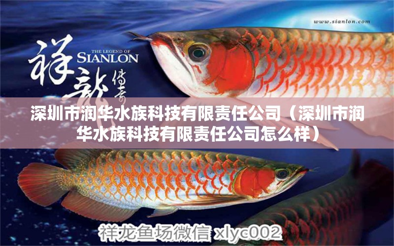 深圳市润华水族科技有限责任公司（深圳市润华水族科技有限责任公司怎么样）