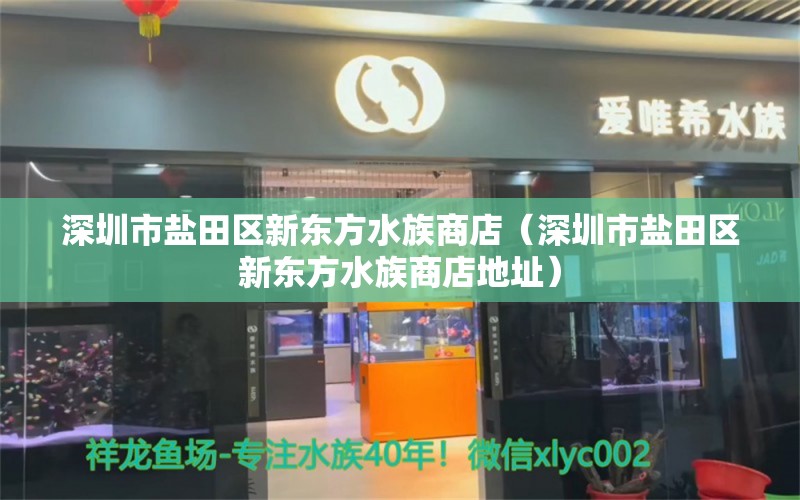 深圳市盐田区新东方水族商店（深圳市盐田区新东方水族商店地址） 全国水族馆企业名录