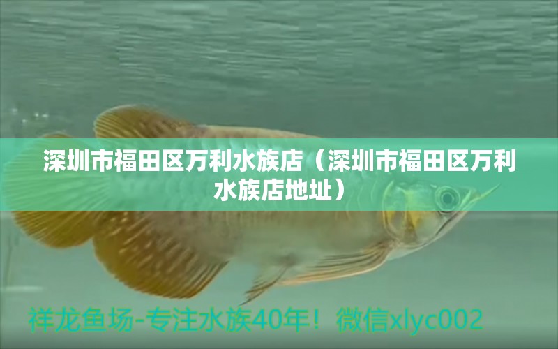 深圳市福田区万利水族店（深圳市福田区万利水族店地址）