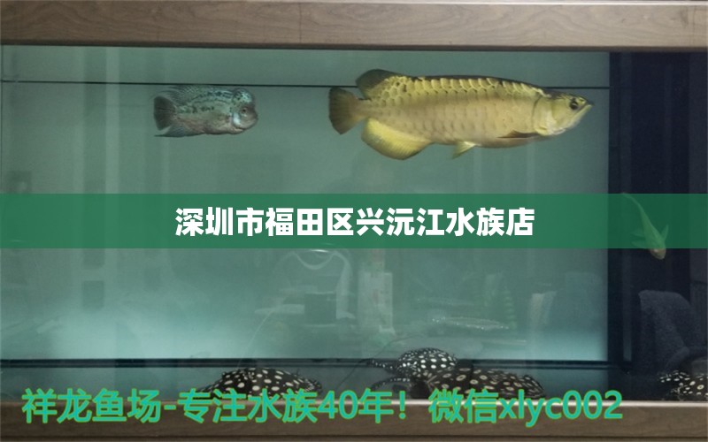 深圳市福田区兴沅江水族店 全国水族馆企业名录