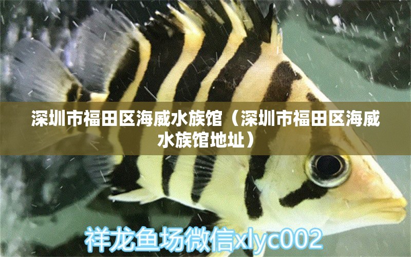 深圳市福田区海威水族馆（深圳市福田区海威水族馆地址） 全国水族馆企业名录