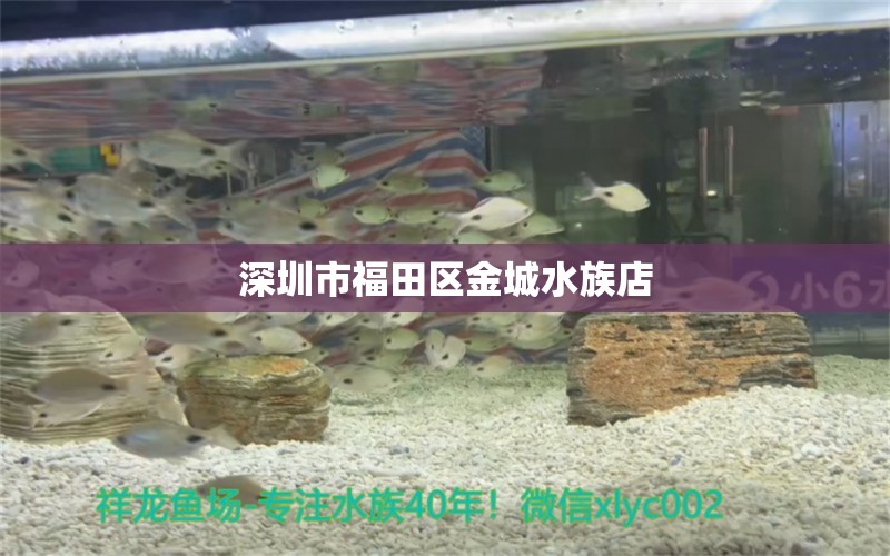 深圳市福田区金城水族店 全国水族馆企业名录