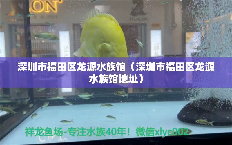 深圳市福田区龙源水族馆（深圳市福田区龙源水族馆地址）