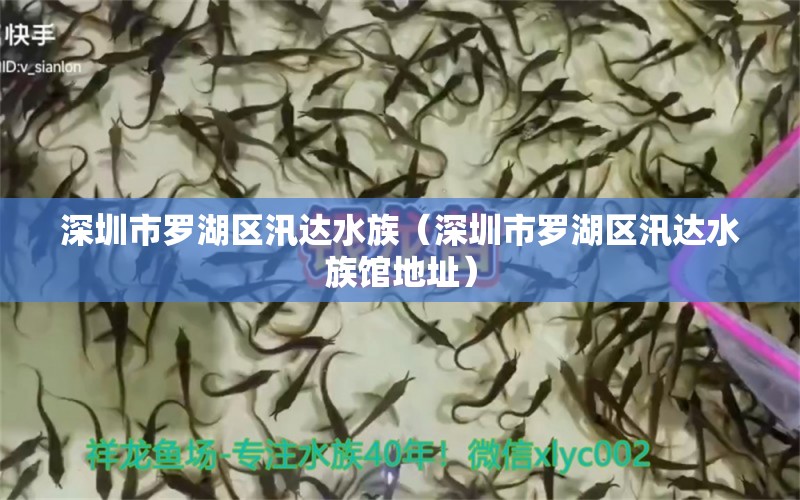 深圳市罗湖区汛达水族（深圳市罗湖区汛达水族馆地址） 全国水族馆企业名录