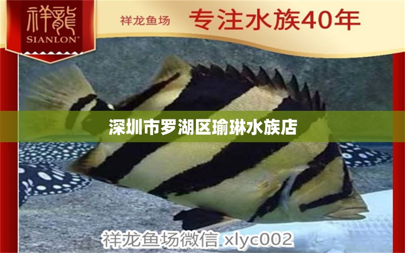 深圳市罗湖区瑜琳水族店 全国水族馆企业名录