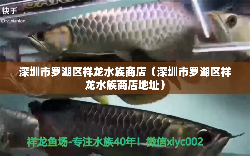 深圳市罗湖区祥龙水族商店（深圳市罗湖区祥龙水族商店地址）