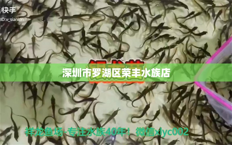 深圳市罗湖区荣丰水族店