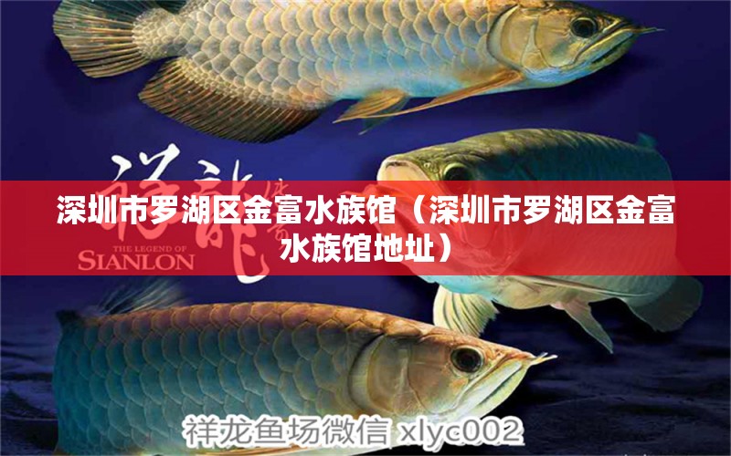 深圳市罗湖区金富水族馆（深圳市罗湖区金富水族馆地址）