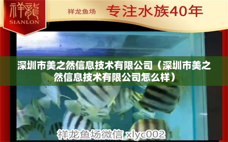 深圳市美之然信息技术有限公司（深圳市美之然信息技术有限公司怎么样）