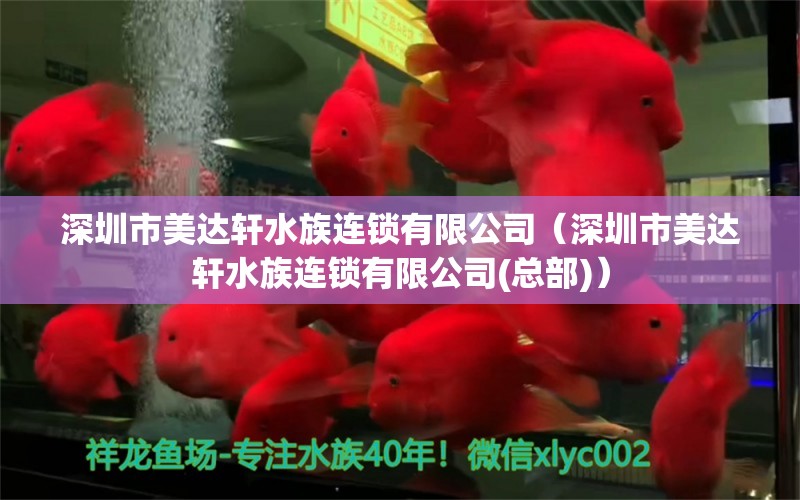 深圳市美达轩水族连锁有限公司（深圳市美达轩水族连锁有限公司(总部)）