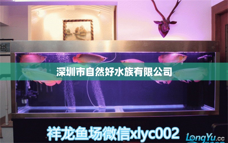 深圳市自然好水族有限公司 全国水族馆企业名录