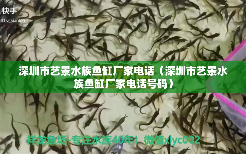 深圳市艺景水族鱼缸厂家电话（深圳市艺景水族鱼缸厂家电话号码）