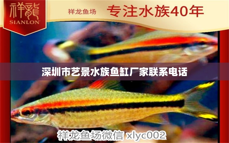 深圳市艺景水族鱼缸厂家联系电话