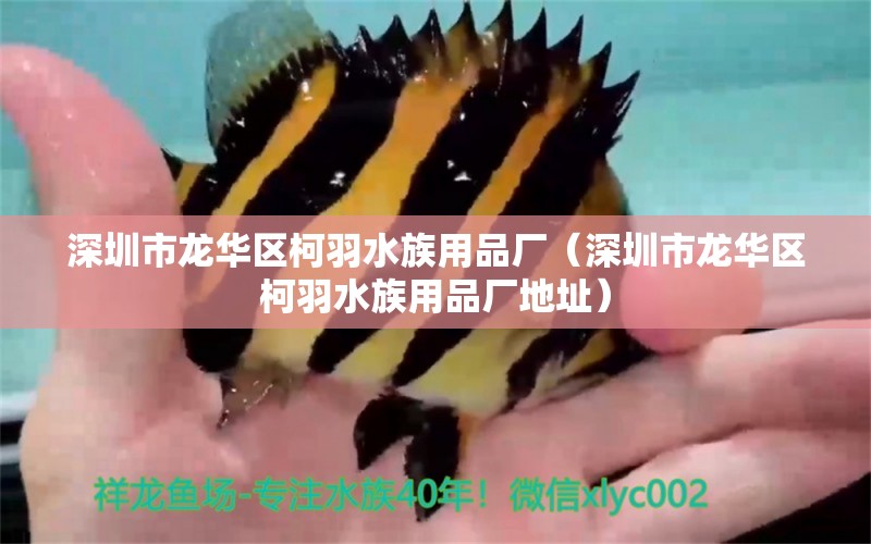 深圳市龙华区柯羽水族用品厂（深圳市龙华区柯羽水族用品厂地址）