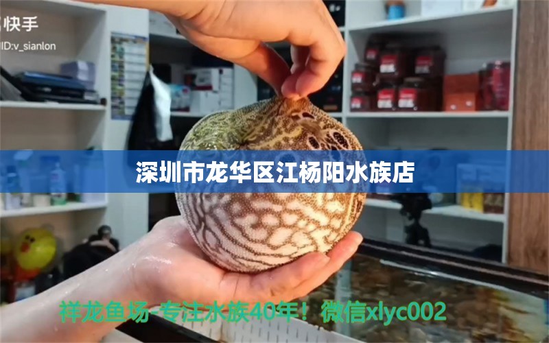 深圳市龙华区江杨阳水族店 全国水族馆企业名录