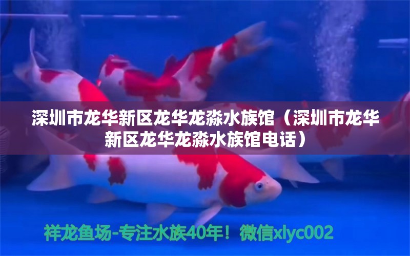 深圳市龙华新区龙华龙淼水族馆（深圳市龙华新区龙华龙淼水族馆电话） 全国水族馆企业名录