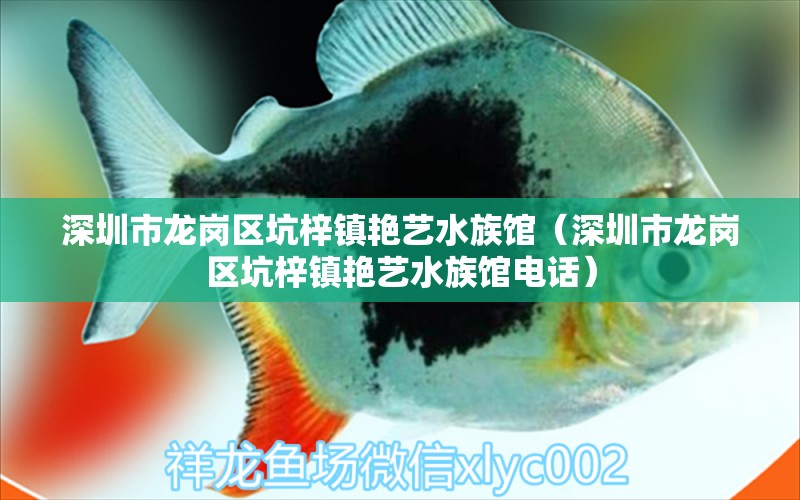 深圳市龙岗区坑梓镇艳艺水族馆（深圳市龙岗区坑梓镇艳艺水族馆电话） 全国水族馆企业名录