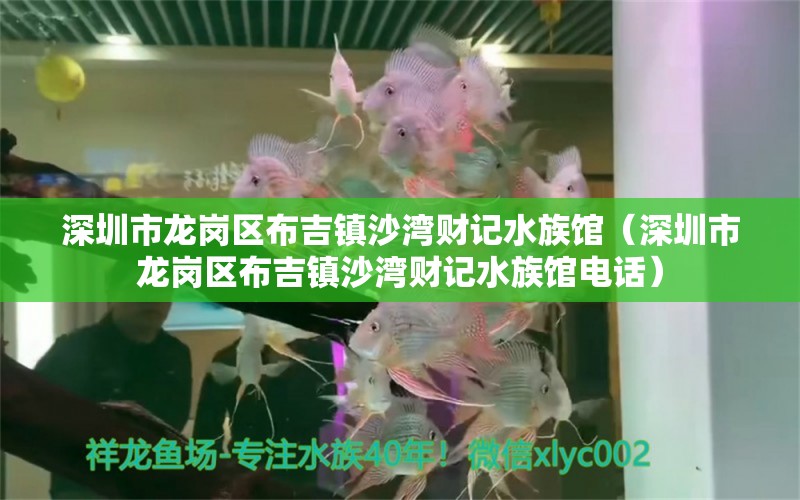 深圳市龙岗区布吉镇沙湾财记水族馆（深圳市龙岗区布吉镇沙湾财记水族馆电话）