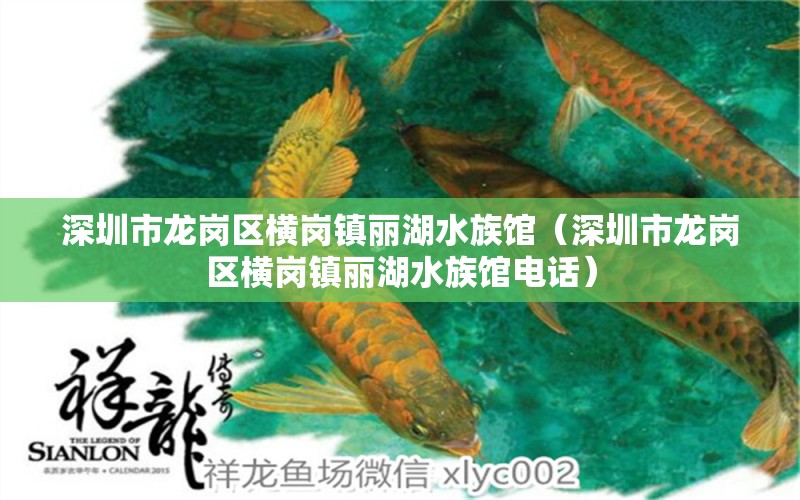 深圳市龙岗区横岗镇丽湖水族馆（深圳市龙岗区横岗镇丽湖水族馆电话） 全国水族馆企业名录