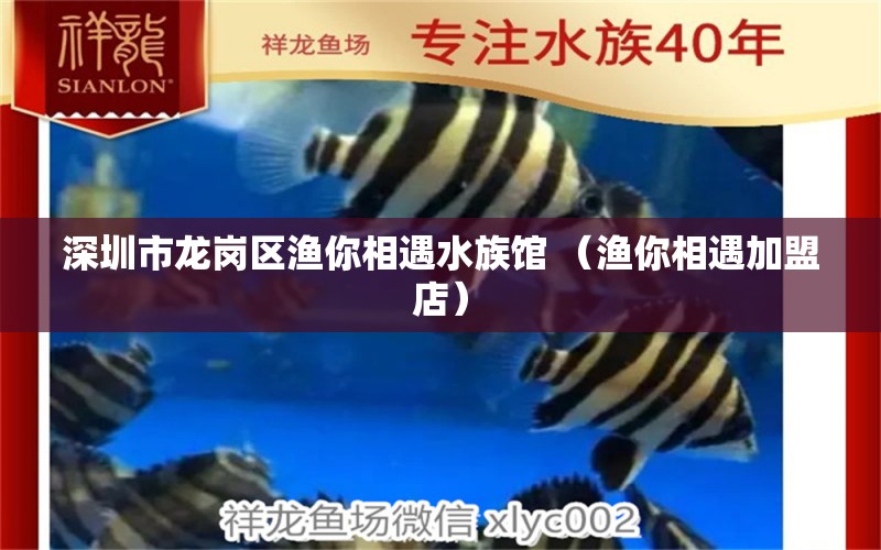 深圳市龙岗区渔你相遇水族馆 （渔你相遇加盟店）