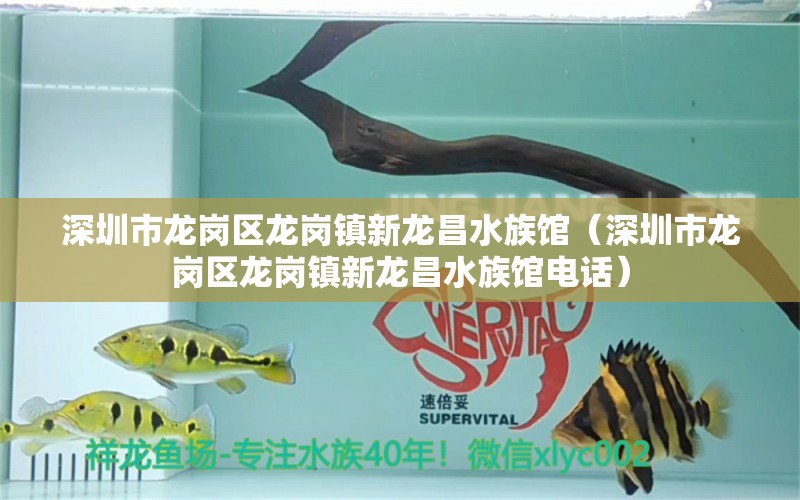 深圳市龙岗区龙岗镇新龙昌水族馆（深圳市龙岗区龙岗镇新龙昌水族馆电话） 全国水族馆企业名录